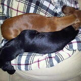 Yin & Yang