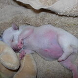 Schattig toch! (dag 9)