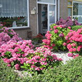 Onze voortuin anno 2011