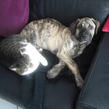 lekker samen