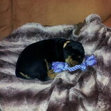 welterusten