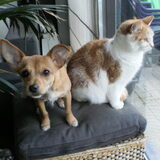 Mila & haar vriendinnetje Rafa
