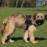 Foto van team Shadow