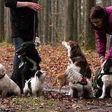 Groeps foto HP Wandeling Zwolsche Bos