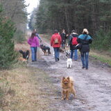 Vos met de Hp wandeling 18-3-12