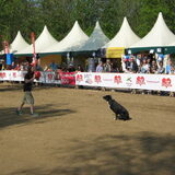 op animal-event 09