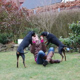 Foto van Veronique, Hugo, Jay-Dee & Mandy