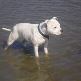 Foto van Jeroen & Lola