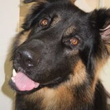 Foto van Marjo en Kiba