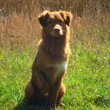 Foto van Lisette, Chico & jersey