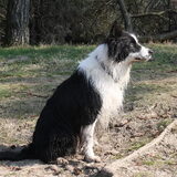 knappe vent