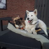 Chillen met hummer