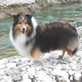 saampjes met Lola