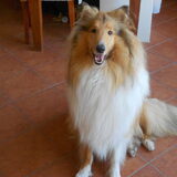 Cody bijna 1 jaar