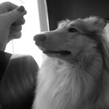 Cody krijgt beloning