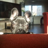 vrouwtjj laat me nou ook op de bank..