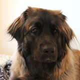1 jaar en 5 maanden oud