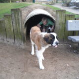 in de tunnel met de kindjes spelen!
