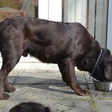 dorst na een date met Doowey.