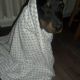 Zo koud en moe! (5 maand)
