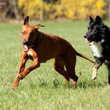Blue & Jody
