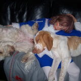 alledrie moe