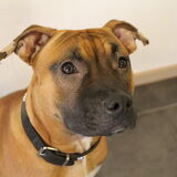 Foto van ik020588