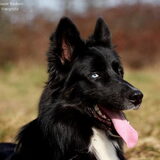 Foto van Rianne