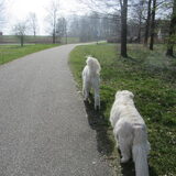Foto van Dewi & de doodles