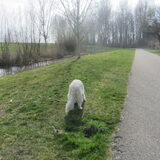 Foto van Dewi & de doodles