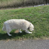 Foto van Dewi & de doodles