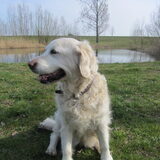 Foto van Dewi & de doodles