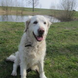 Foto van Dewi & de doodles