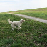 Foto van Dewi & de doodles
