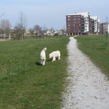 Foto van Dewi & de doodles