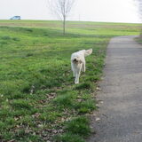 Foto van Dewi & de doodles