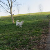 Foto van Dewi & de doodles