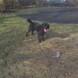 dat is het liefts wat ze doet spelen met plastieken fles
