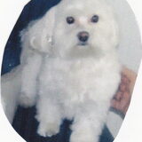 spike hij was hier ongv 4 jaar