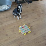 Buddy en Karlie puzzel