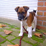 ben ik niet cute!!!