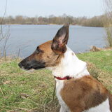 rondje om het bacse ven heen @ goirle