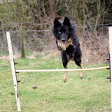 Foto van Rianne