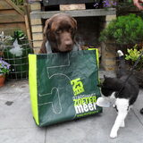 Foto van Stans & labrador Tasha