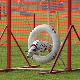 Door de band :) (moeilijk om te fotograferen hoor :))