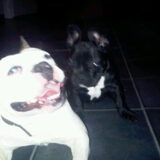 met grote broer thimo samen