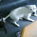 Harry met Guusje