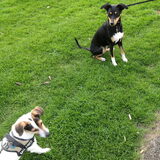 Melo & Tessa.