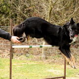 Foto van Rianne