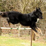 Foto van Rianne